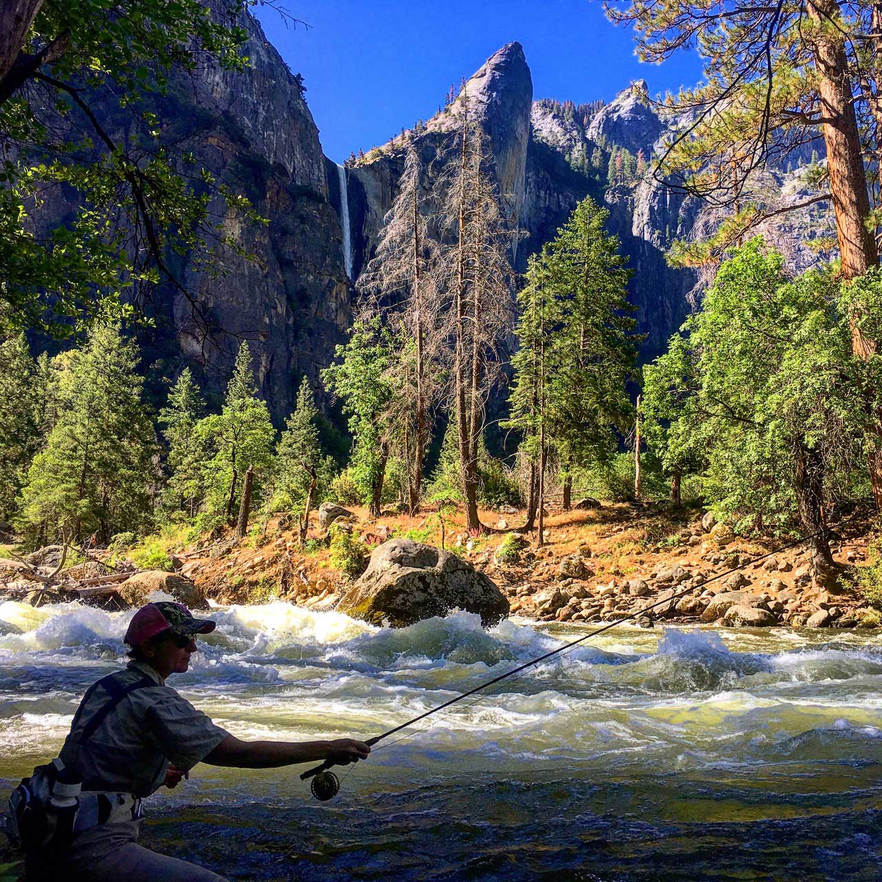 yosemite flying fish