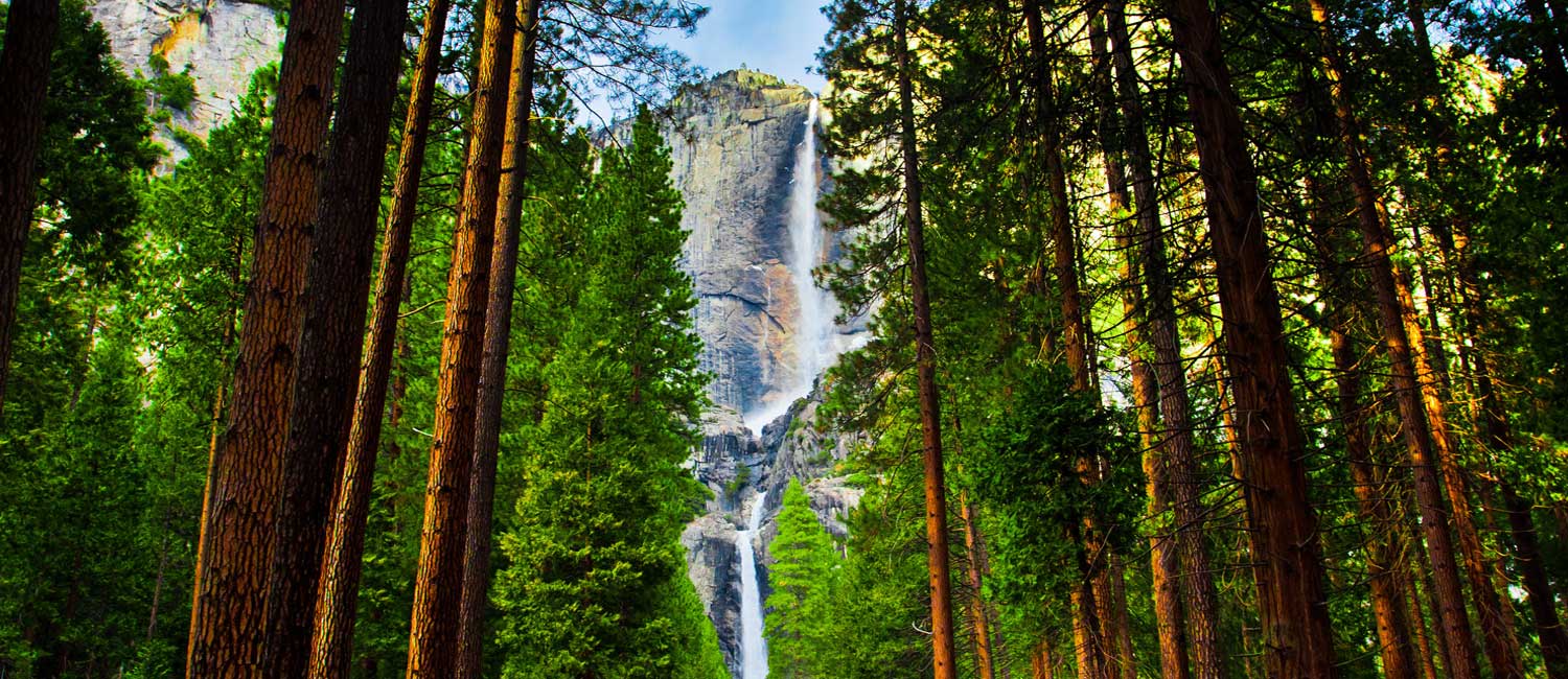 half dome yosemite